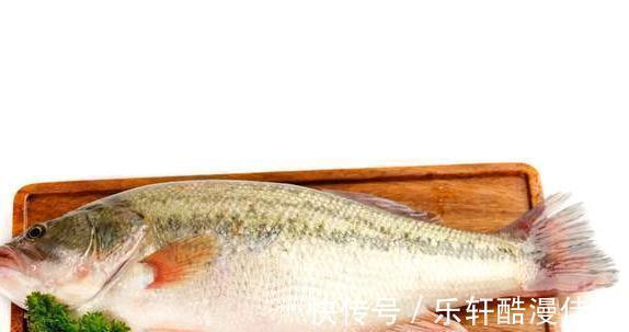 买鲈鱼时,别捡大的买,认准这4种,肉细嫩味道鲜,都是品质好鱼