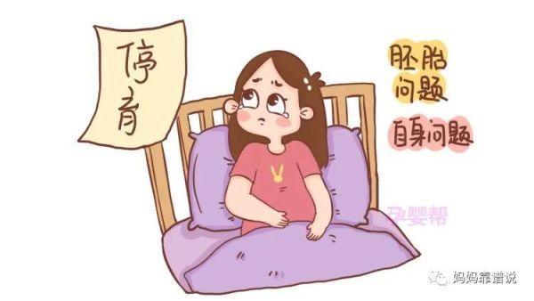 染色体|胎儿停止发育？是染色体出了问题