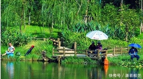 初夏爆护的3个“绝学”,既简单又实用,一时性急就给透露了