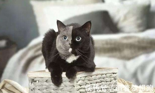 DN爸爸是独生子,儿子的DNA却是“叔叔”的?医生告知原因全家慌了