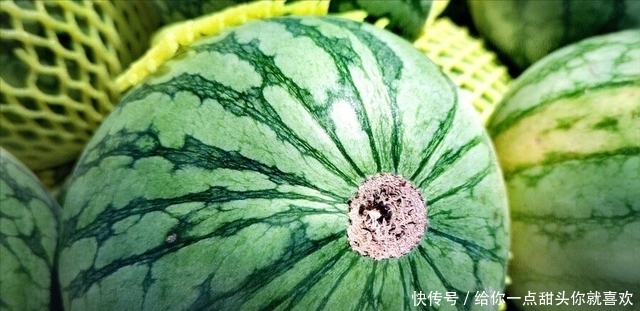 西瓜|挑西瓜时,别再拍来拍去了,教你简单3招,西瓜皮薄汁多还很甜