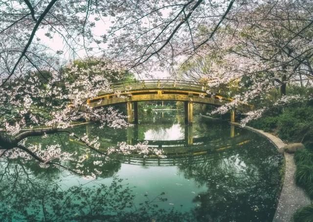 奇文|千古奇文《心相篇》20句话,看透人性,诠释人生,百读不厌