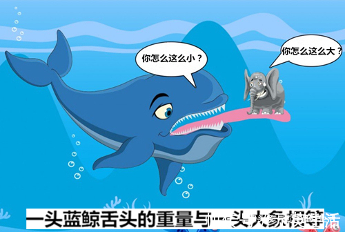 11个看起来很像是假的,但却是真实情况的冷知识