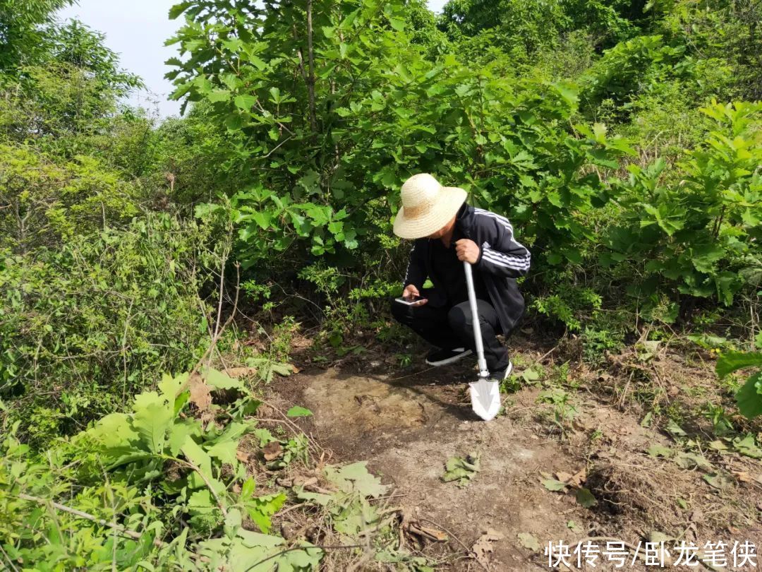 虎踞龙盘秦家庄，河南省方城县西北部一块神奇的风水宝地