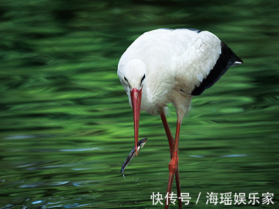 大富大贵|这两大生肖女，天生富婆命，后半生注定大富大贵，幸福甜蜜！