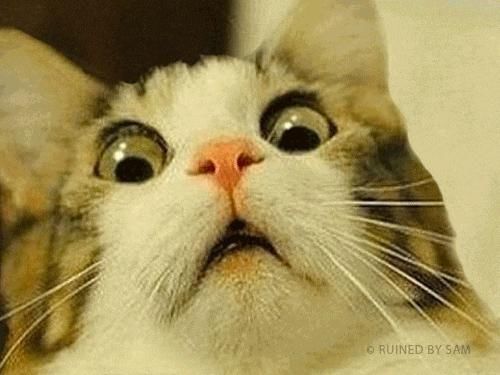 凝珠|看着像“果冻”,其实是“毒药”在家别让孩子碰这东西