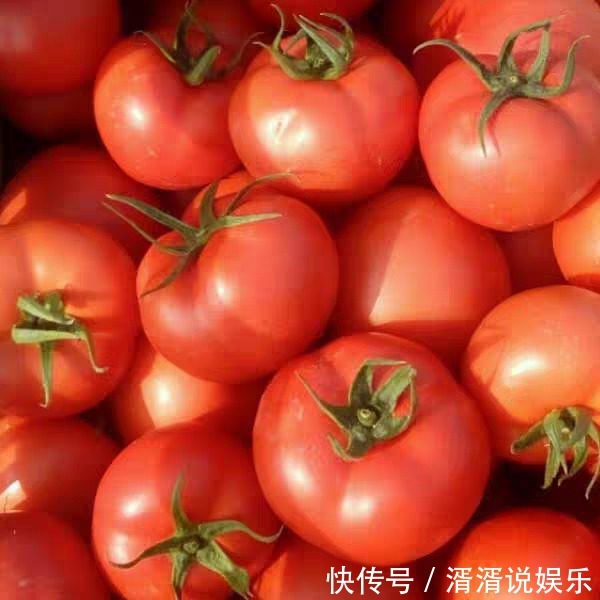 激素|买西红柿时,怎样辨别有没有打激素菜农牢记3点,一挑一个准