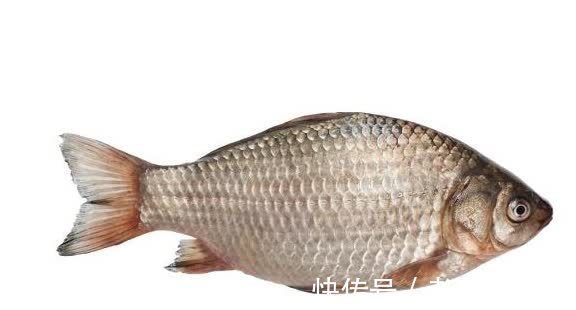 成年人|宝宝出生后,大脑唯一一次发育高峰期,别错过,助宝宝大脑更聪明