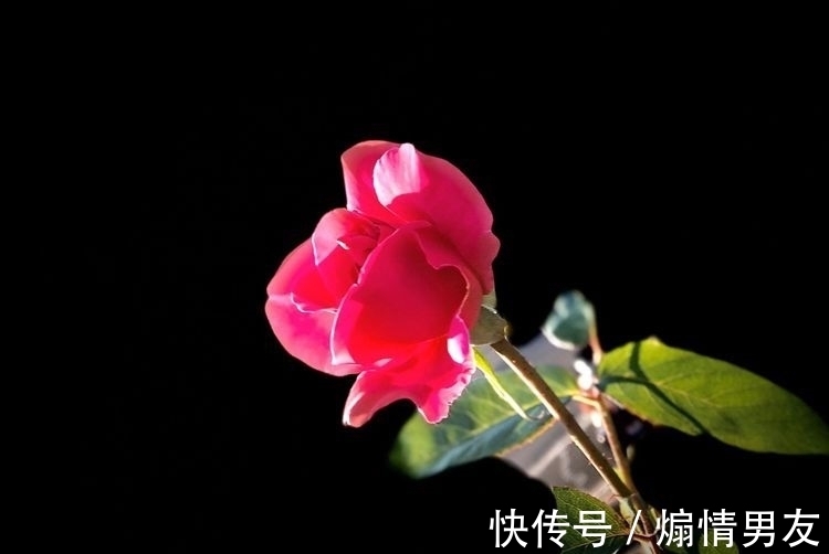 奥运$冬至画意诗情，春来满园花开（诗词11首）