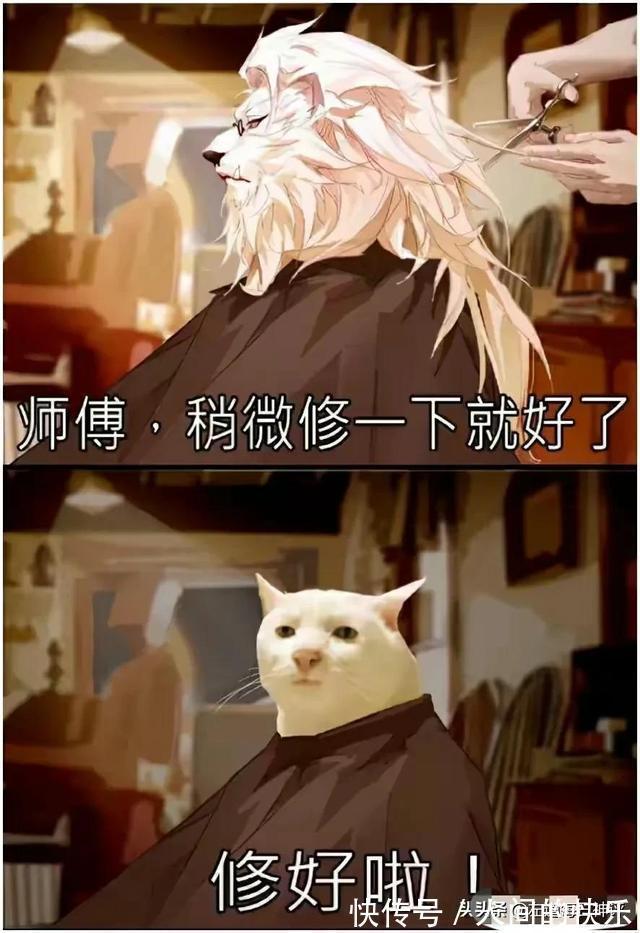 |搞笑神评:和女孩子约会一定要去爬山,坡越陡越好!都是套路啊