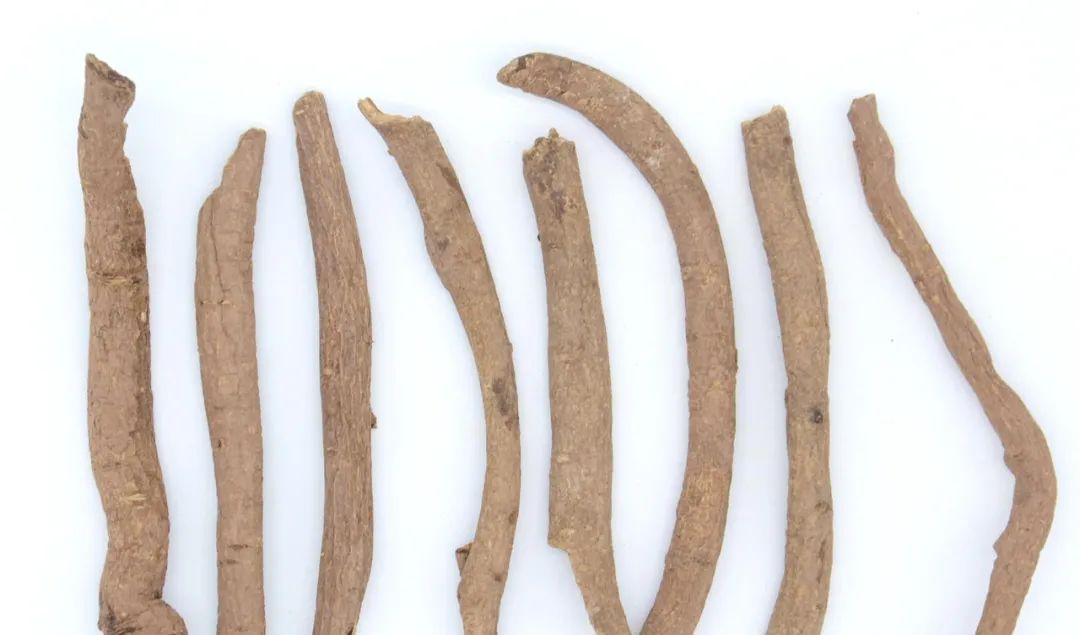 大腹皮|湿气太重,如何赶走它?用这4味中药泡水喝,或会有意外收获