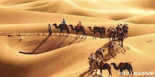 开创|唐朝的丝绸之路,开创了中西文化的交流盛世,葡萄酒也来到中国