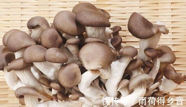 做法|冬季多吃蘑菇,教你1个好吃做法,3天不吃就嘴馋,太香了!
