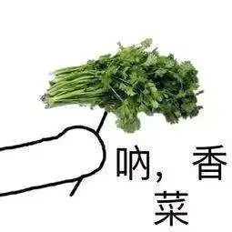 菠菜|爱不爱吃香菜由“谁”决定?