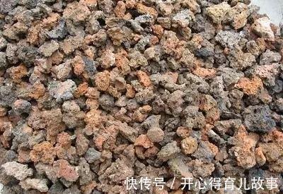 这种废物稍加处理,就能变废为宝,用来养多肉不烂根植株壮