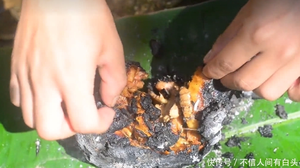 柚子|农村小伙把柚子掏空后,放了十几块鸡肉进去煮,揭开之后尴尬了