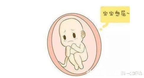 怀孕|在怀孕之前，我们需要了解哪一些生殖常识呢？