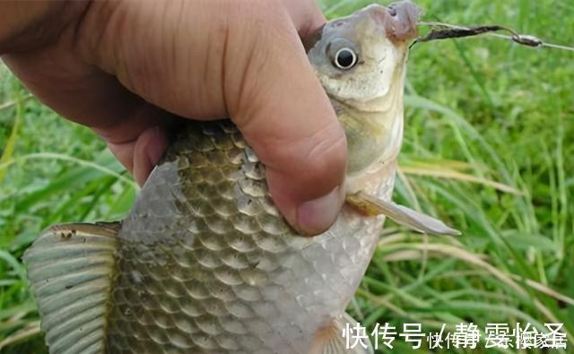 野钓鲫鱼,夏秋季节抓顶漂,冬季多抓顿口,这是为什么呢?