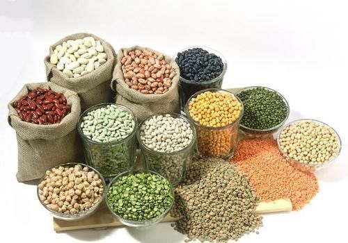 强身健体|张文宏教授建议:多吃6种食物,或能帮助增强人体“免疫力”