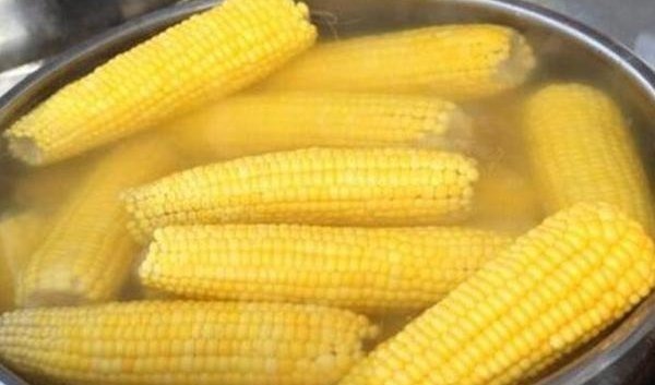 煮玉米的水特“值钱”,别倒掉了厉害用途大多人不晓得,学学吧
