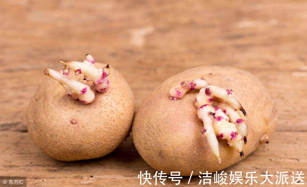 黄曲霉毒素|藏在家里的“一级致癌物”,为了家人的健康,及时扔掉为好