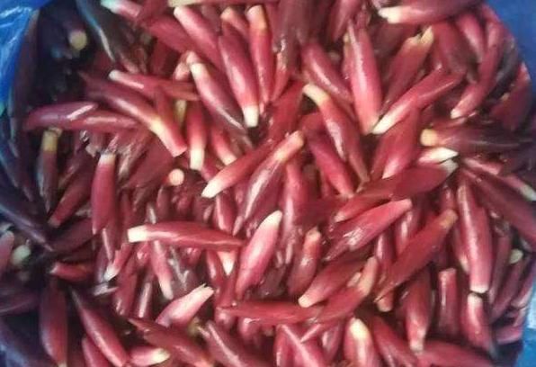 干净|女人常吃“一宝”,子宫越来越干净,远离妇科炎症,值得一试