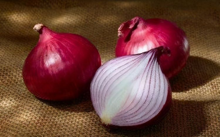 降血脂|不爱吃也要常吃!3种食物不仅降血脂,还能降低心脏病风险