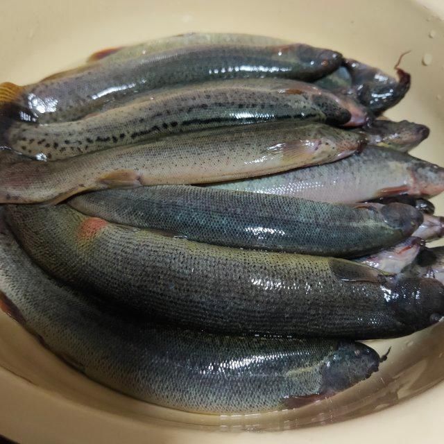 香酥泥鳅鱼，麻辣香酥，太解馋了