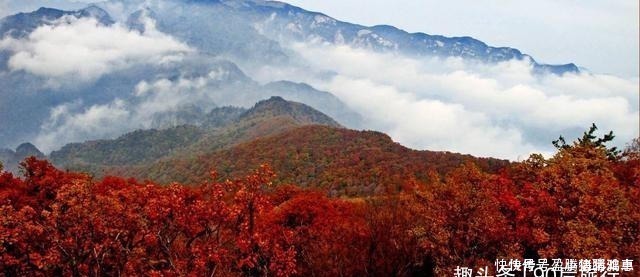 中年|华北最后一块原始森林，门票仅30块，冬天来能欣赏到大雪压青松