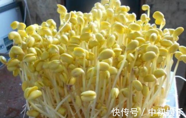 在家发豆芽好简单,只需水和豆,5天就发好,脆嫩好吃,干净卫生