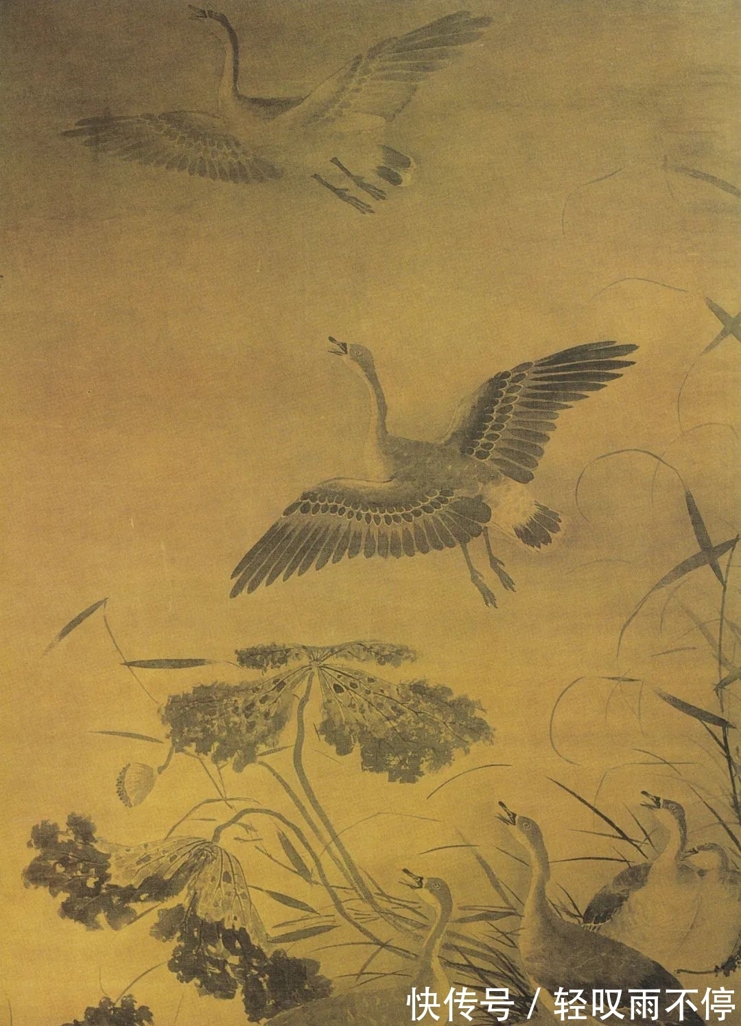 缘起|中国画“芦雁图”的画法缘起与传变!