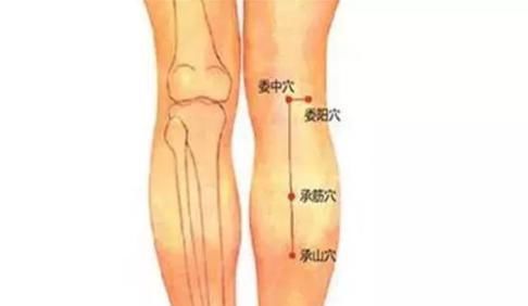 调节|百岁老中医的10个驻颜秘方,90%的人都不知道!调节五脏,气血双补