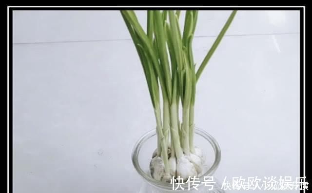 孩子|母亲把小孩寒假作业炒变成菜,蒜头曰记被强制结束,小孩嚎啕大哭