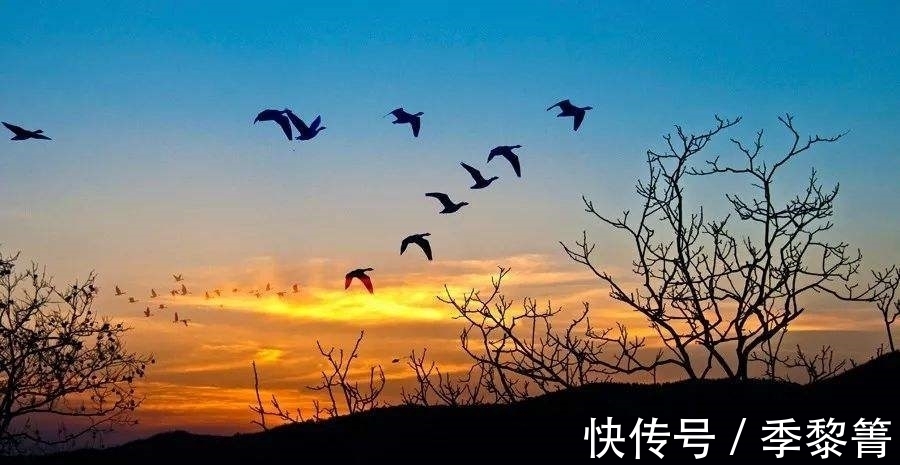 宋词！10大元曲排行榜，名作《天净沙 秋思》位列第二，哪首排它前面？