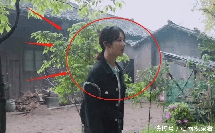 节目 何炅差点被树苗刮到脸,看到杨紫的下意识反应,难怪她人缘这么好