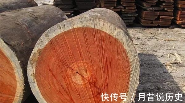 中国的这些最值钱的木头 你知道几个 快资讯