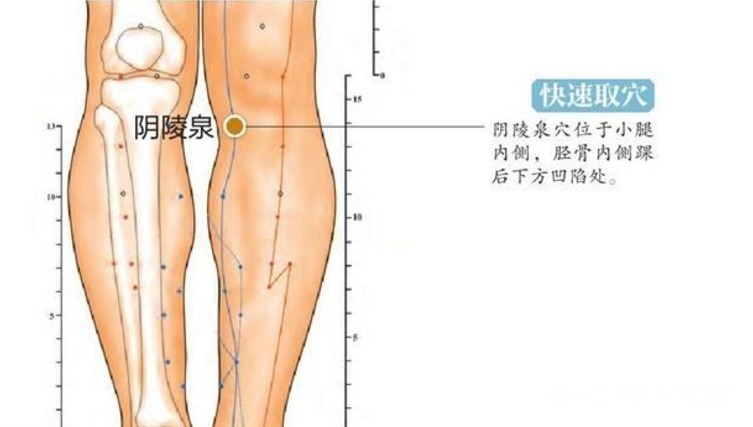 體質|冬病夏治！3大妙招，有病治病，無病預防，徹底改善你的體質！