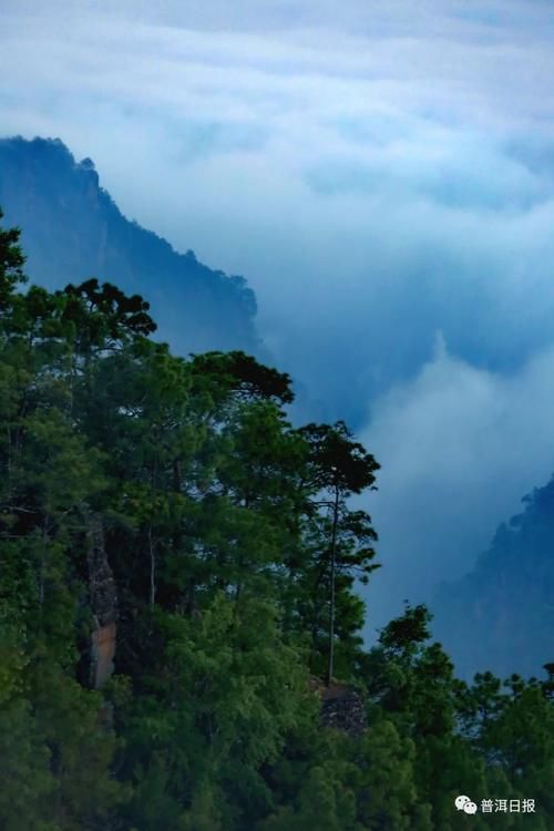 原来你是这样的白马山