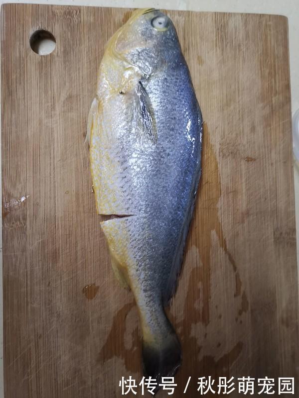 黄花鱼|它是被“误解”最多的鱼,浑身是宝,比甲鱼营养,6元1斤没人吃