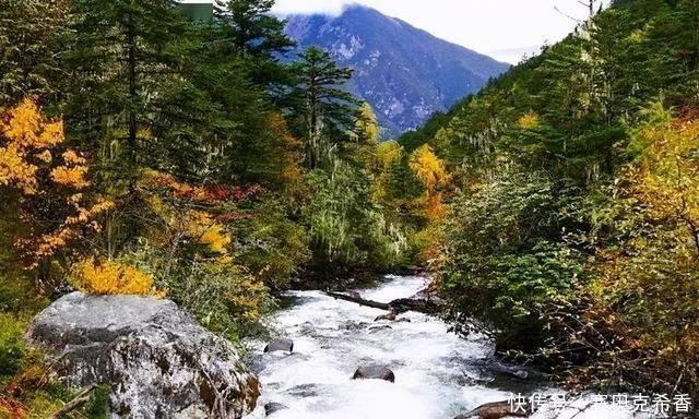 风景|川西最美季节已来临~秋色不等人，此生必去一次