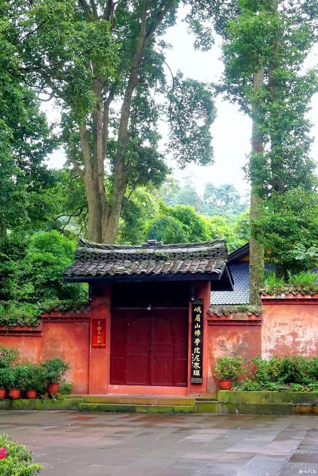 仙山峨眉-雨雾金顶