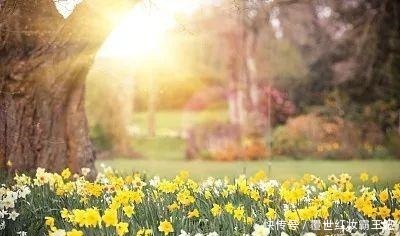 做人最高的境界,离不开这16个字