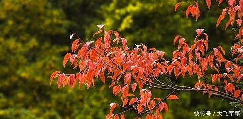  水调歌头|水调歌头华夏缅雄才