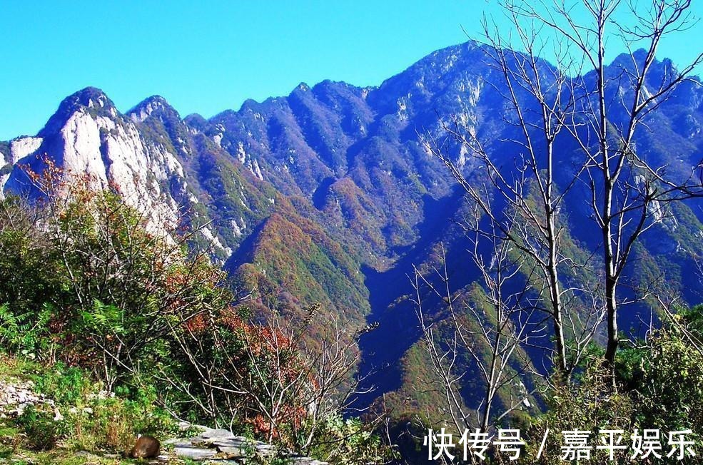 玄宗&唐代浪漫主义诗人李白,有一首《下终南山过斛斯山人宿置酒》,今天我们来欣赏一下