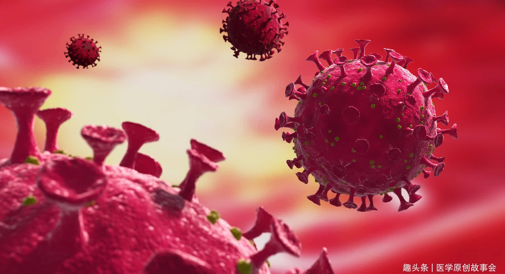 肿瘤主任|晚期肺癌只能活活痛死？肺癌根本不用治？肿瘤主任讲了四个真相