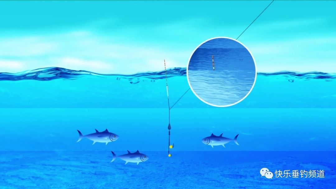 钓友|鲫鱼钓了58余年,总结了这套顺口溜,学会包你百钓不厌!