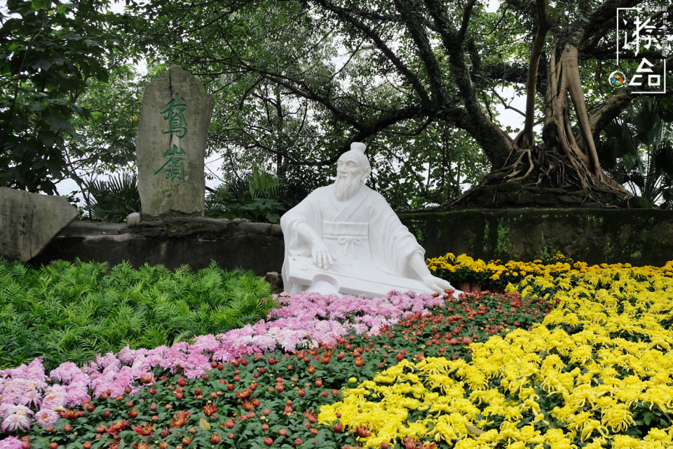 花瓣|秋日里的温暖菊花展上的变脸表演，重庆鹅岭公园大秀上演