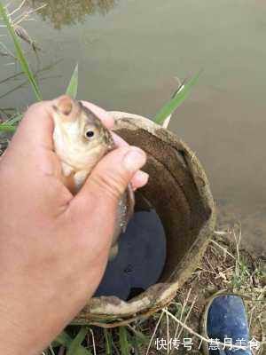 民间“钓泡法”钓鱼,鲫鱼多得让你吃不完