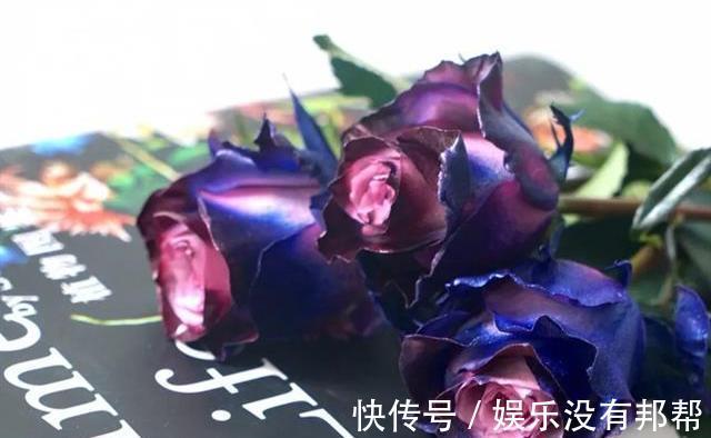 你粉|比较受欢迎的10款进口玫瑰花,一直都供不应求,你粉了吗?