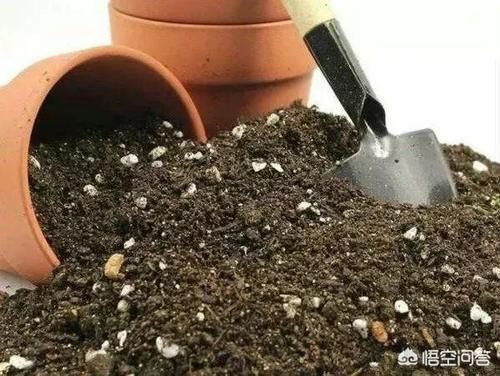 多肉花土怎么配置？